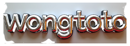wongtoto login logo